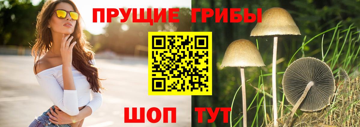 Галлюциногенные грибы Cubensis  Вход с VPN  Керчь 